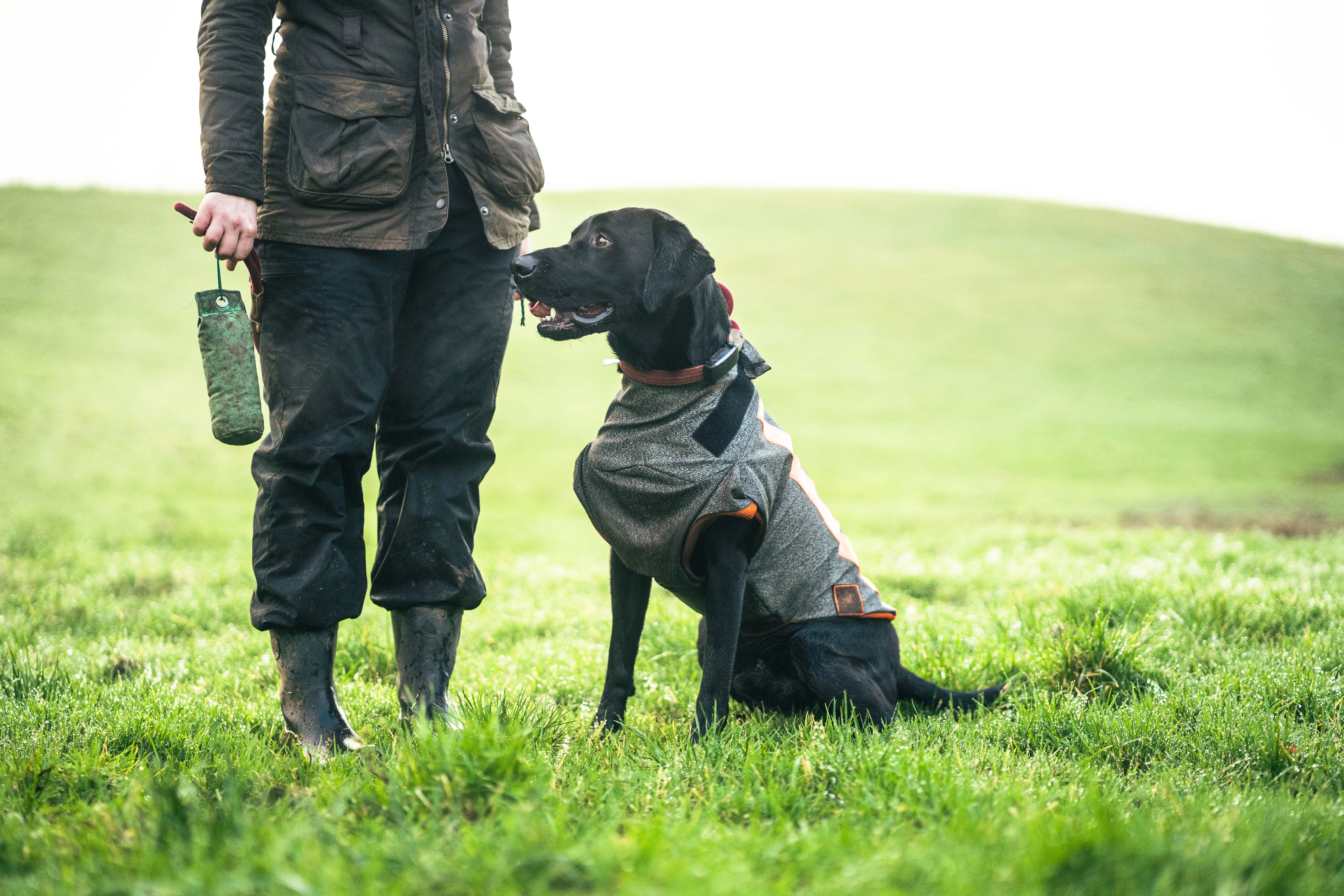 Buddy - Image 4