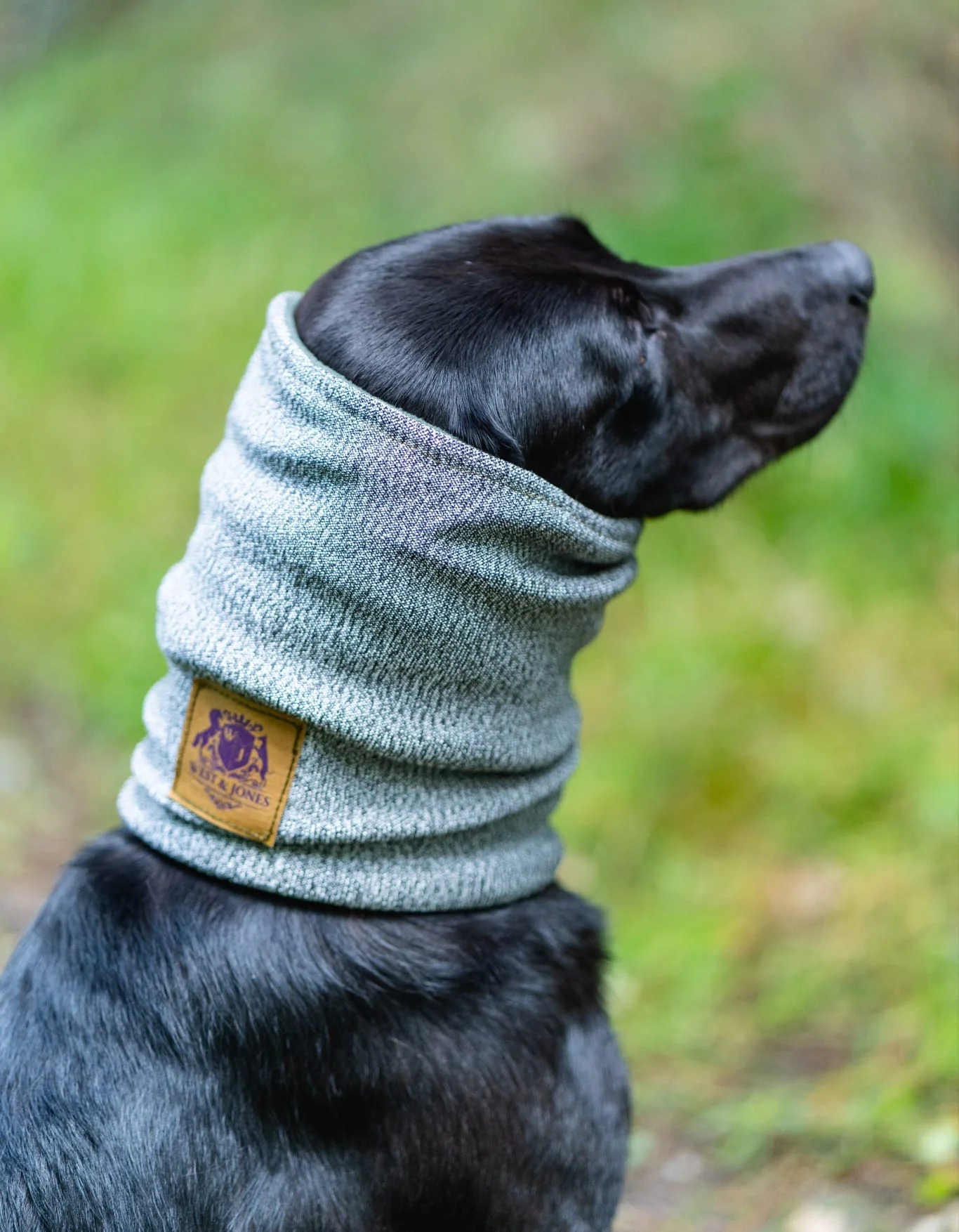 Devon Snood - Image 3