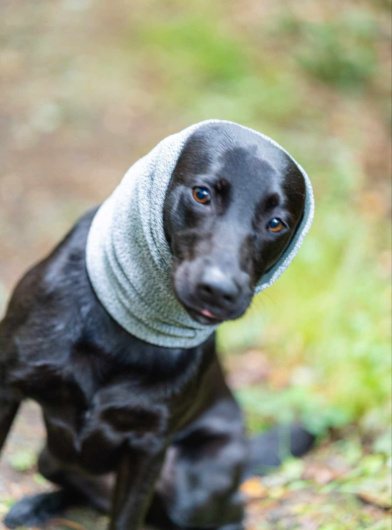 Devon Snood - Image 6