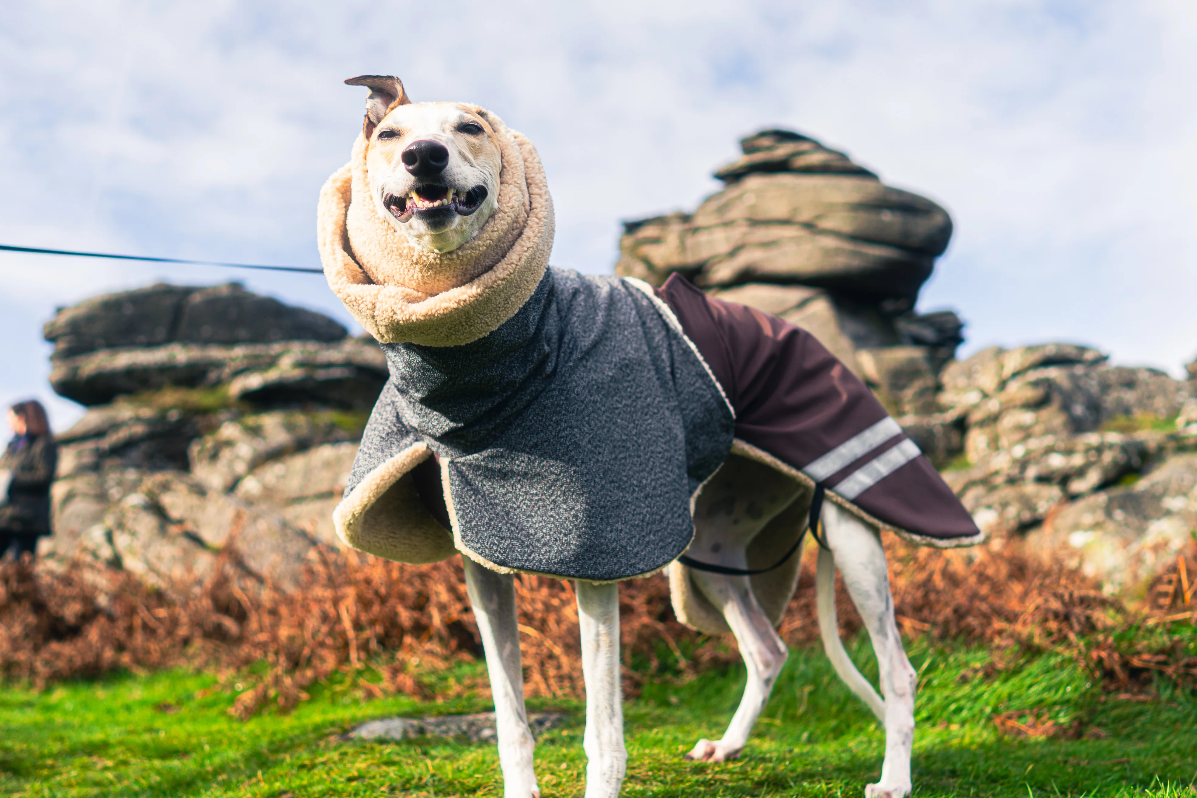 Hound Snood - Image 3