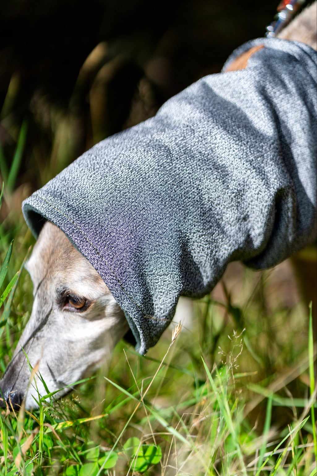 Hound Snood - Image 7