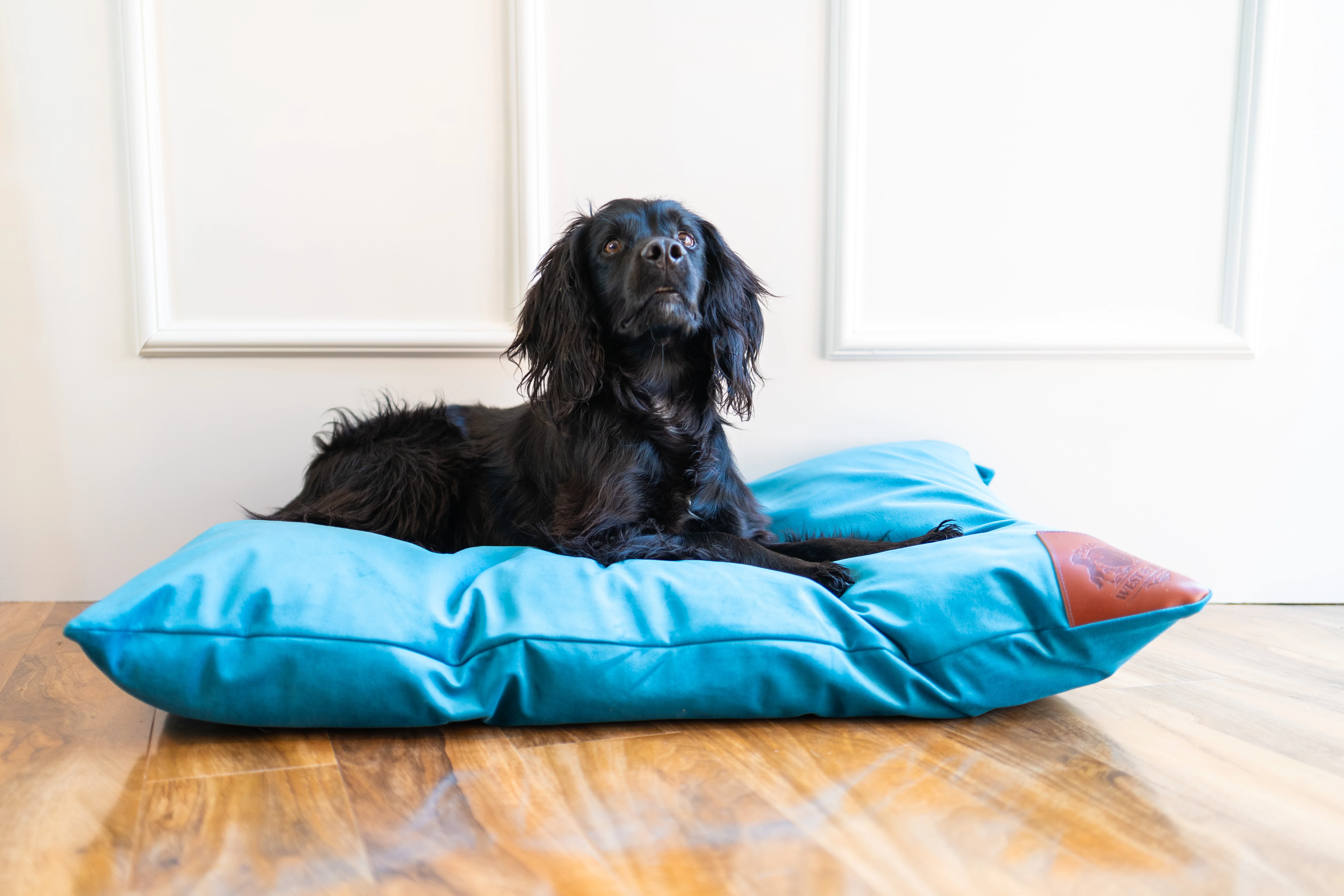 Pillow Bed - Image 4