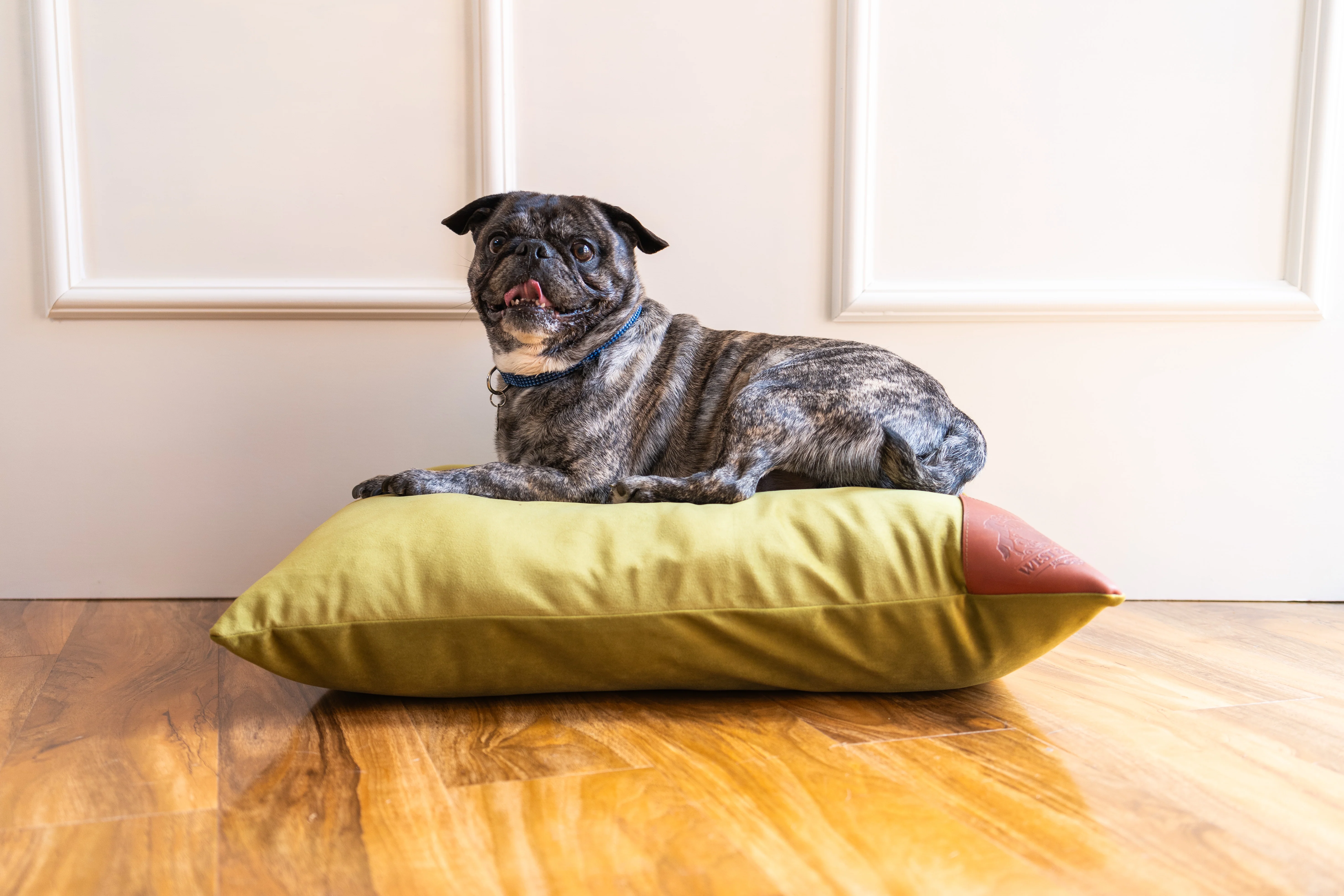 Pillow Bed - Image 6