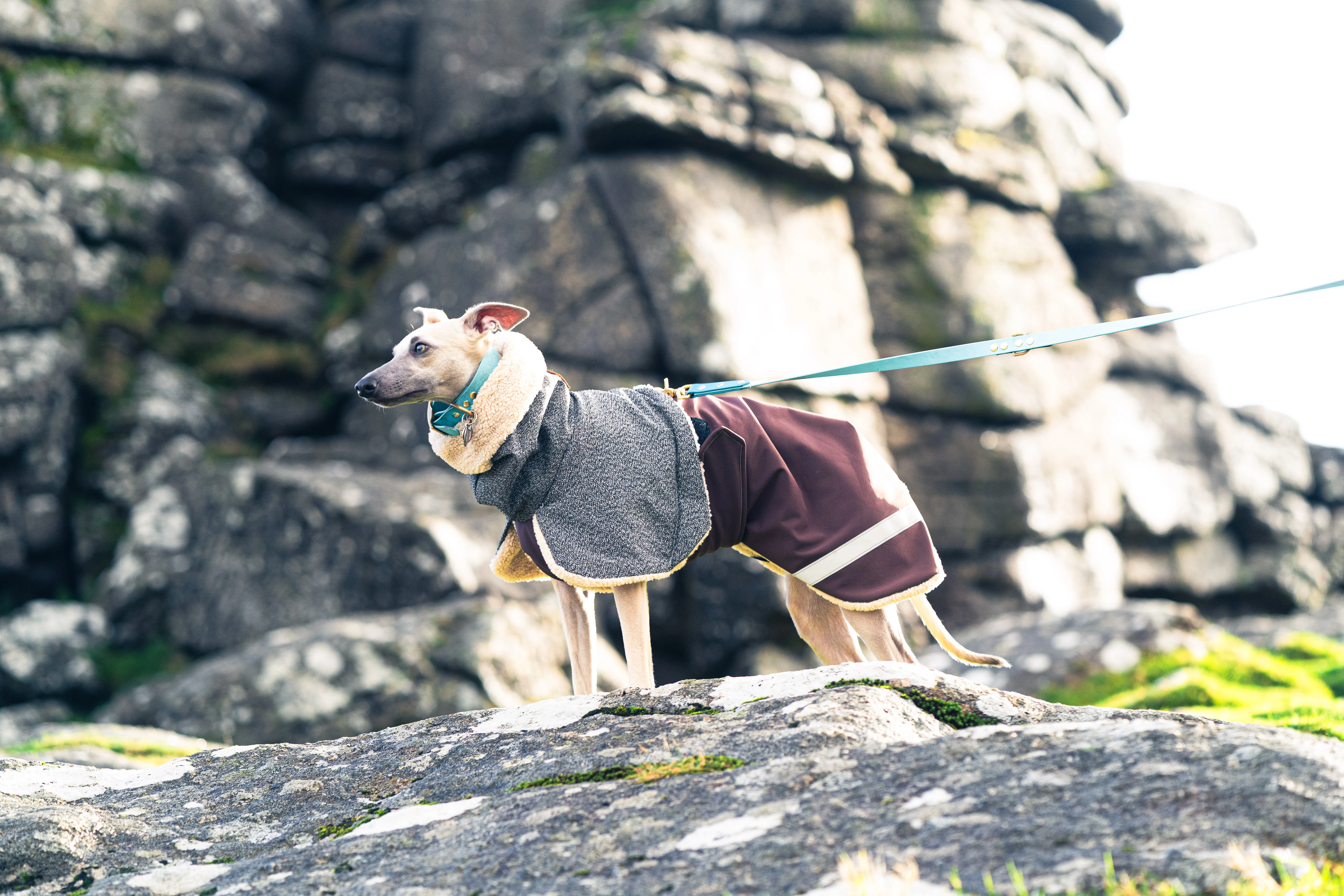 Playcoat - Image 4