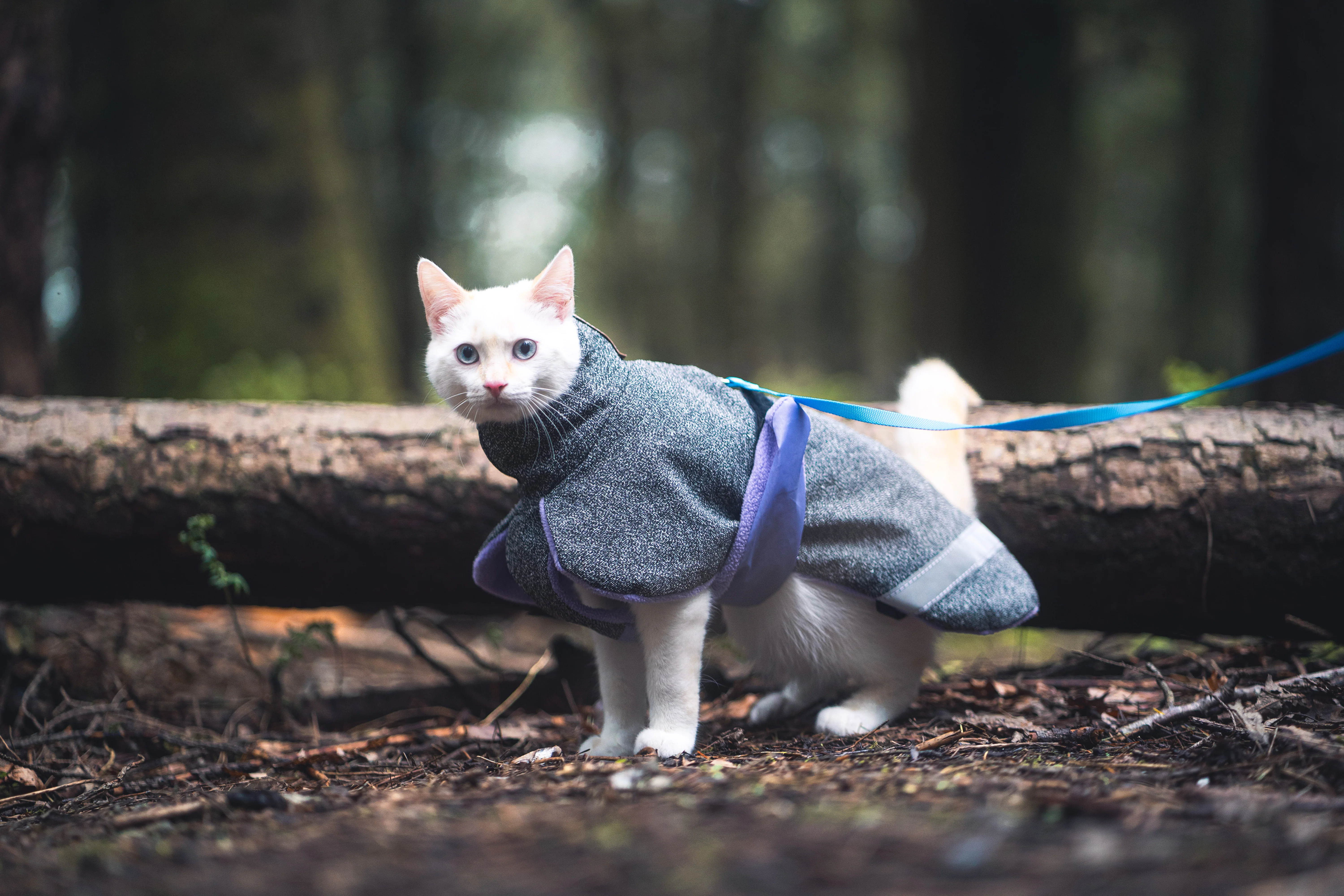 Playcoat - Image 6