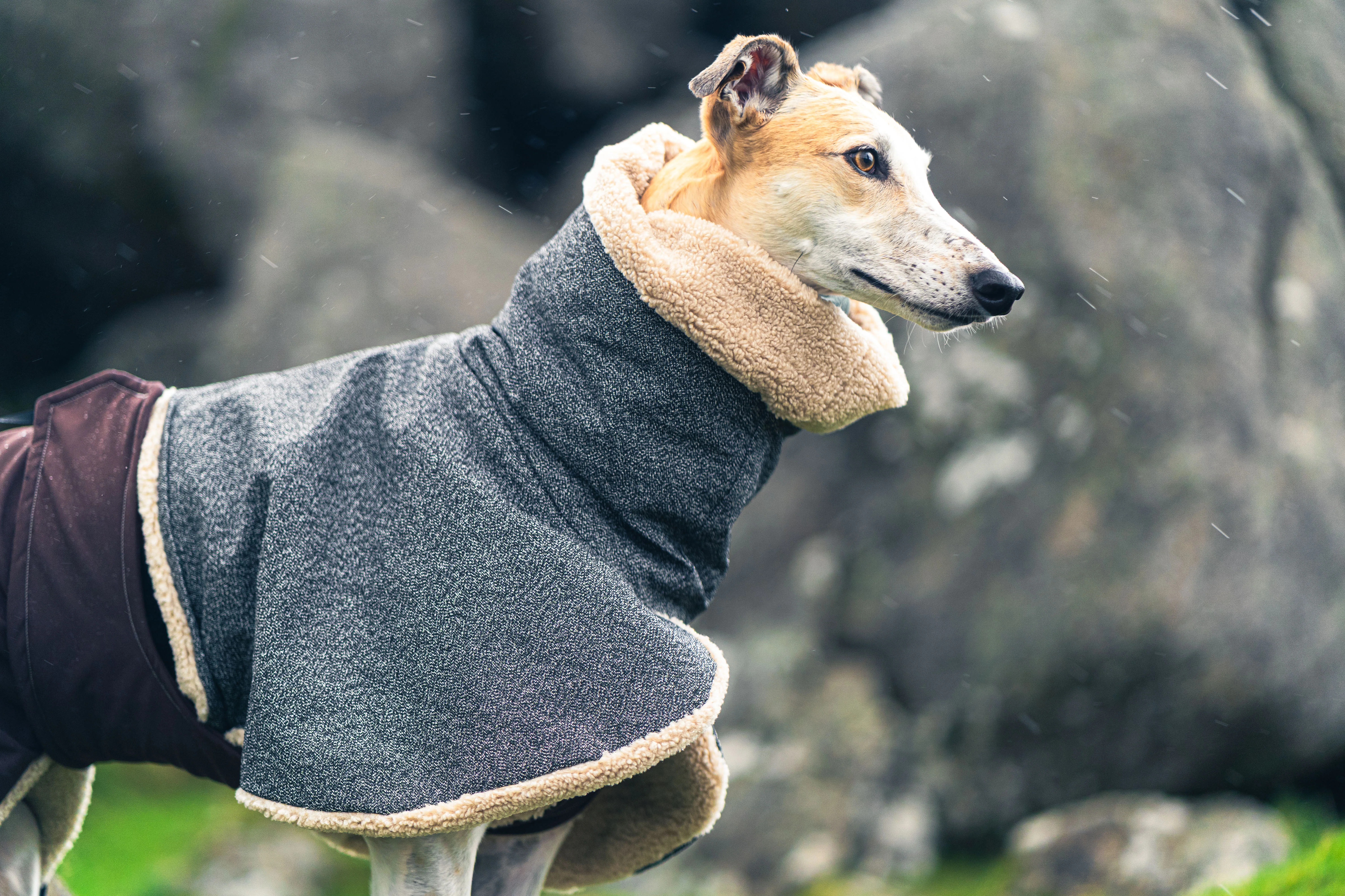 Playcoat - Image 7