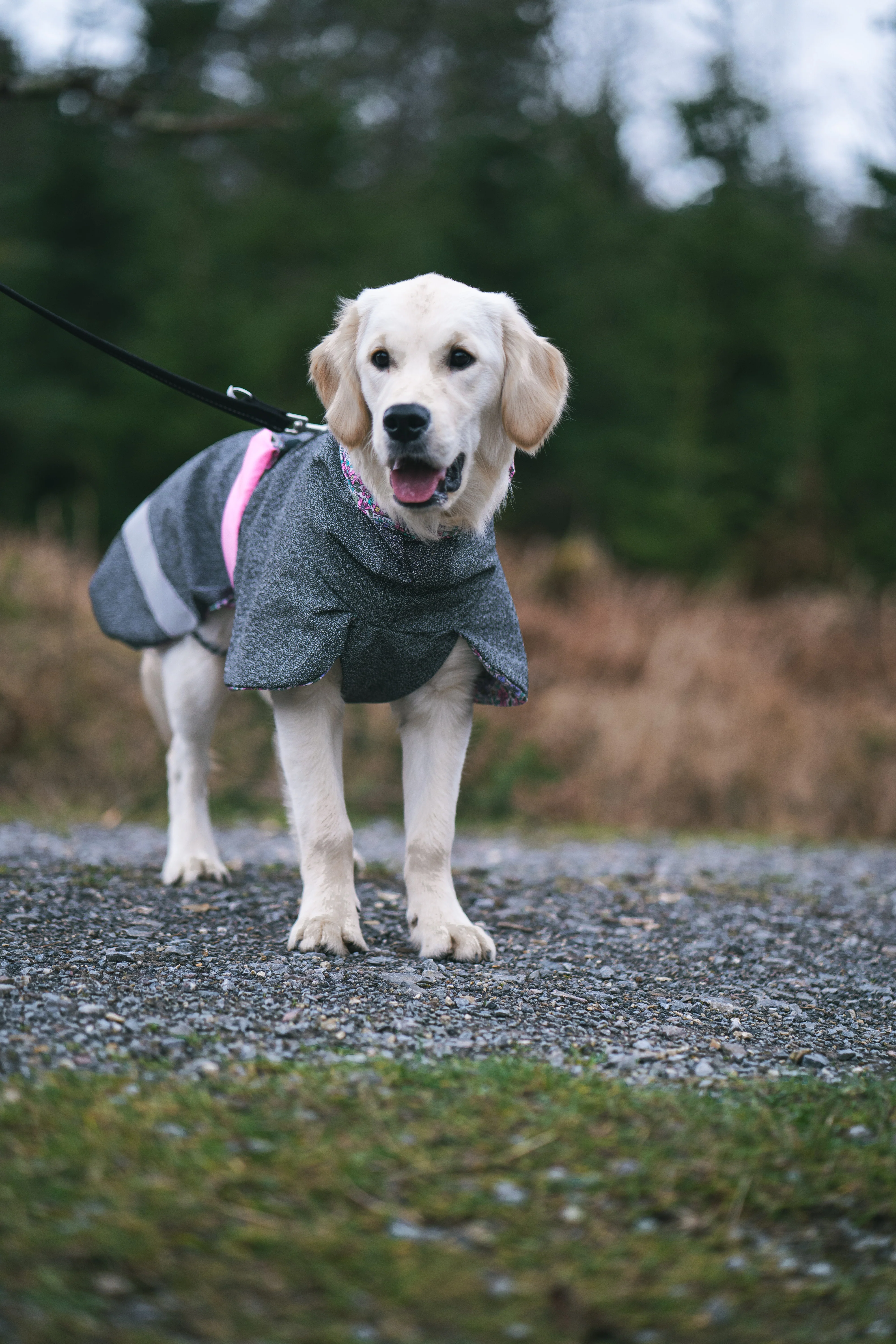 Playcoat- Summer - Image 10