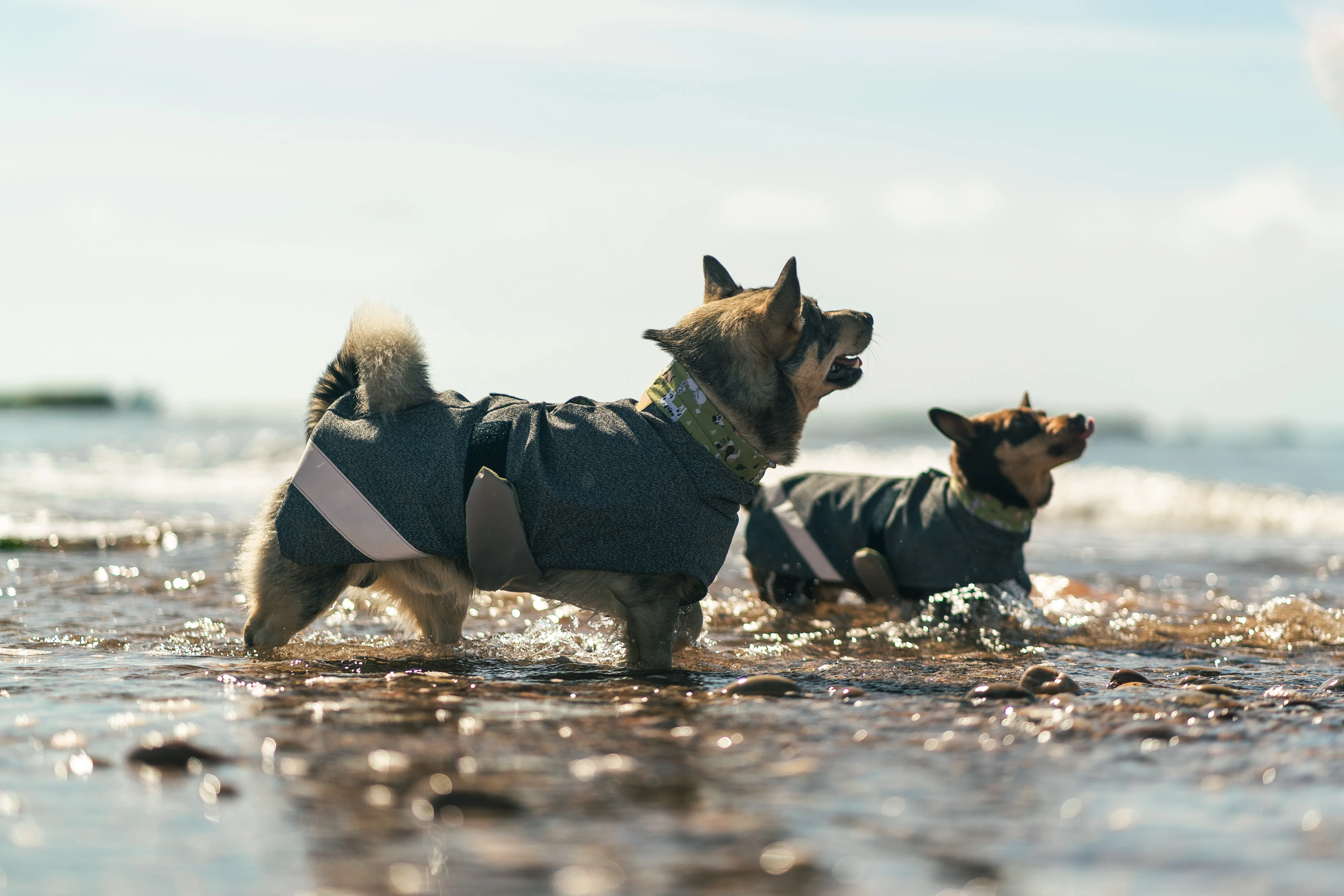 Playcoat- Summer - Image 11