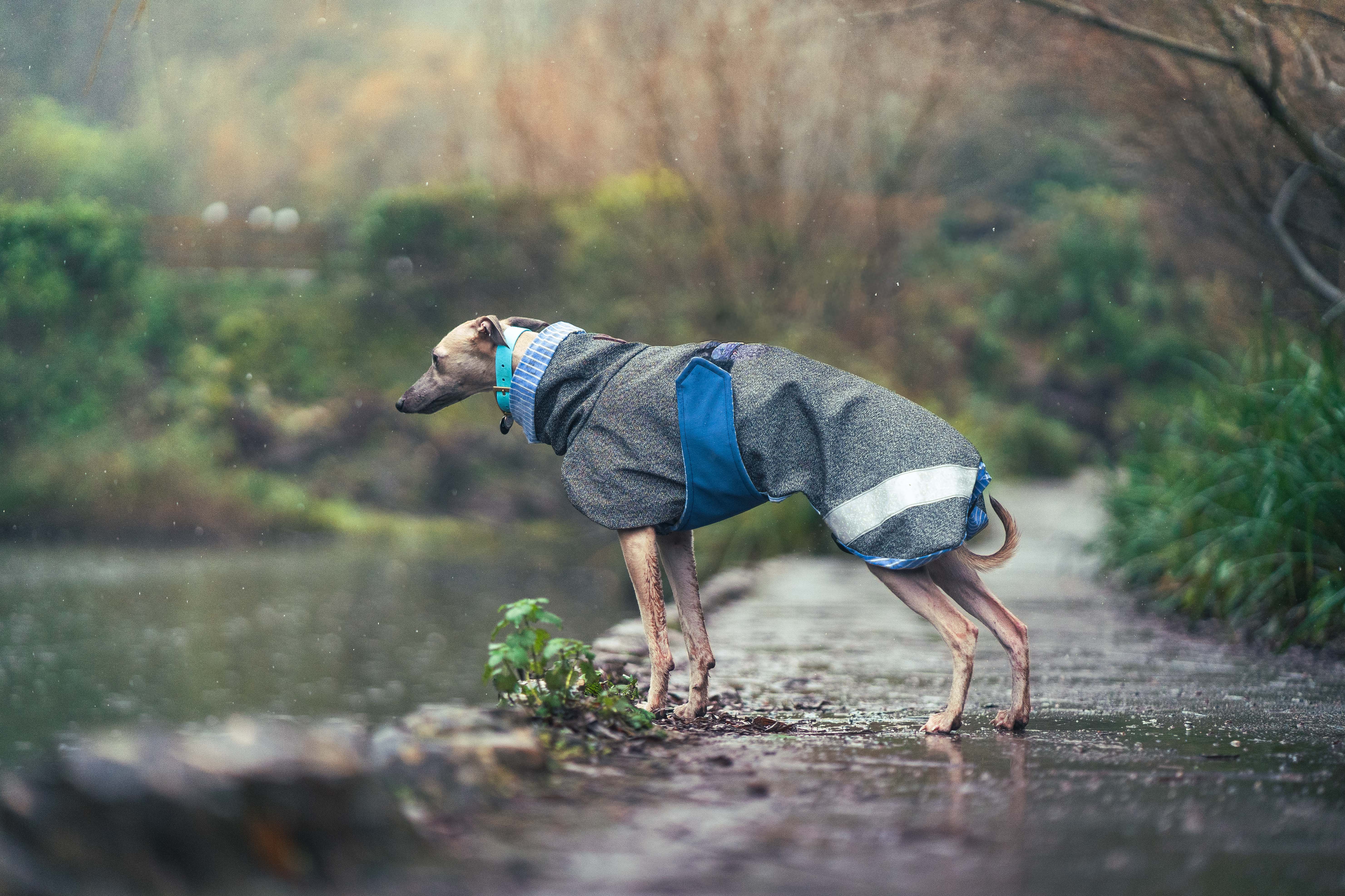 Playcoat- Summer - Image 6